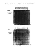 Production of collagen in the milk of transgenic mammals diagram and image