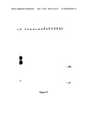 Production of collagen in the milk of transgenic mammals diagram and image