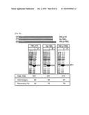 CELL PERMEABLE P18 RECOMBINANT PROTEINS, POLYNUCLEOTIDES ENCODING THE SAME, AND ANTICANCER COMPOSITION COMPRISING THE SAME diagram and image