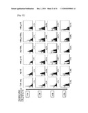 CELL PERMEABLE P18 RECOMBINANT PROTEINS, POLYNUCLEOTIDES ENCODING THE SAME, AND ANTICANCER COMPOSITION COMPRISING THE SAME diagram and image