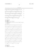 CELL PERMEABLE P18 RECOMBINANT PROTEINS, POLYNUCLEOTIDES ENCODING THE SAME, AND ANTICANCER COMPOSITION COMPRISING THE SAME diagram and image