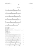 CELL PERMEABLE P18 RECOMBINANT PROTEINS, POLYNUCLEOTIDES ENCODING THE SAME, AND ANTICANCER COMPOSITION COMPRISING THE SAME diagram and image