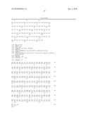 CELL PERMEABLE P18 RECOMBINANT PROTEINS, POLYNUCLEOTIDES ENCODING THE SAME, AND ANTICANCER COMPOSITION COMPRISING THE SAME diagram and image