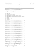 CELL PERMEABLE P18 RECOMBINANT PROTEINS, POLYNUCLEOTIDES ENCODING THE SAME, AND ANTICANCER COMPOSITION COMPRISING THE SAME diagram and image