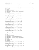 CELL PERMEABLE P18 RECOMBINANT PROTEINS, POLYNUCLEOTIDES ENCODING THE SAME, AND ANTICANCER COMPOSITION COMPRISING THE SAME diagram and image