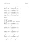 CELL PERMEABLE P18 RECOMBINANT PROTEINS, POLYNUCLEOTIDES ENCODING THE SAME, AND ANTICANCER COMPOSITION COMPRISING THE SAME diagram and image