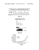 CCL18 AND CCL3 METHODS AND COMPOSITIONS FOR DETECTING AND TREATING CANCER diagram and image