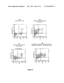 SYNERGISTIC PHARMACEUTICAL COMBINATION FOR THE TREATMENT OF CANCER diagram and image