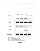 SYNERGISTIC PHARMACEUTICAL COMBINATION FOR THE TREATMENT OF CANCER diagram and image