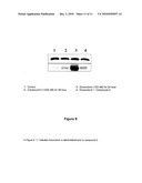 SYNERGISTIC PHARMACEUTICAL COMBINATION FOR THE TREATMENT OF CANCER diagram and image