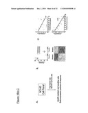 INDIVIDUALIZED CANCER TREATMENTS diagram and image