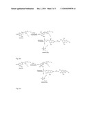 TREATMENT OR PROPHYLAXIS OF PROLIFERATIVE CONDITIONS diagram and image