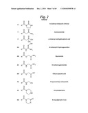 METALLO-OXIDOREDUCTASE INHIBITORS USING METAL BINDING MOIETIES IN COMBINATION WITH TARGETING MOIETIES diagram and image