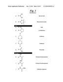 METALLO-OXIDOREDUCTASE INHIBITORS USING METAL BINDING MOIETIES IN COMBINATION WITH TARGETING MOIETIES diagram and image