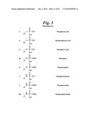 METALLO-OXIDOREDUCTASE INHIBITORS USING METAL BINDING MOIETIES IN COMBINATION WITH TARGETING MOIETIES diagram and image