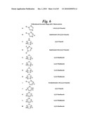 METALLO-OXIDOREDUCTASE INHIBITORS USING METAL BINDING MOIETIES IN COMBINATION WITH TARGETING MOIETIES diagram and image