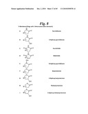 METALLO-OXIDOREDUCTASE INHIBITORS USING METAL BINDING MOIETIES IN COMBINATION WITH TARGETING MOIETIES diagram and image