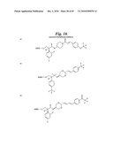 METALLO-OXIDOREDUCTASE INHIBITORS USING METAL BINDING MOIETIES IN COMBINATION WITH TARGETING MOIETIES diagram and image