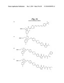 METALLO-OXIDOREDUCTASE INHIBITORS USING METAL BINDING MOIETIES IN COMBINATION WITH TARGETING MOIETIES diagram and image