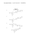 METALLO-OXIDOREDUCTASE INHIBITORS USING METAL BINDING MOIETIES IN COMBINATION WITH TARGETING MOIETIES diagram and image