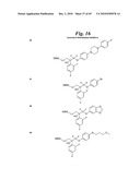 METALLO-OXIDOREDUCTASE INHIBITORS USING METAL BINDING MOIETIES IN COMBINATION WITH TARGETING MOIETIES diagram and image