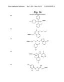 METALLO-OXIDOREDUCTASE INHIBITORS USING METAL BINDING MOIETIES IN COMBINATION WITH TARGETING MOIETIES diagram and image