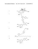 METALLO-OXIDOREDUCTASE INHIBITORS USING METAL BINDING MOIETIES IN COMBINATION WITH TARGETING MOIETIES diagram and image