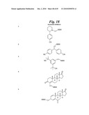 METALLO-OXIDOREDUCTASE INHIBITORS USING METAL BINDING MOIETIES IN COMBINATION WITH TARGETING MOIETIES diagram and image