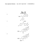 METALLO-OXIDOREDUCTASE INHIBITORS USING METAL BINDING MOIETIES IN COMBINATION WITH TARGETING MOIETIES diagram and image