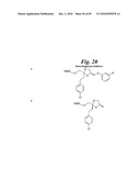 METALLO-OXIDOREDUCTASE INHIBITORS USING METAL BINDING MOIETIES IN COMBINATION WITH TARGETING MOIETIES diagram and image