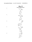 METALLO-OXIDOREDUCTASE INHIBITORS USING METAL BINDING MOIETIES IN COMBINATION WITH TARGETING MOIETIES diagram and image