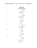 METALLO-OXIDOREDUCTASE INHIBITORS USING METAL BINDING MOIETIES IN COMBINATION WITH TARGETING MOIETIES diagram and image