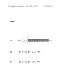 Use of FKBPL gene to identify a cause of infertility diagram and image
