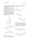 Inhibitors of mTOR and Methods of Making and Using diagram and image