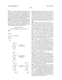 Inhibitors of mTOR and Methods of Making and Using diagram and image