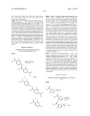 Inhibitors of mTOR and Methods of Making and Using diagram and image