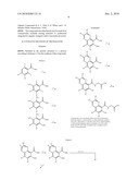Prolyl Hydroxylase Inhibitors diagram and image