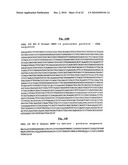 MODIFIED AND STABILIZED GDF PROPEPTIDES AND USES THEREOF diagram and image