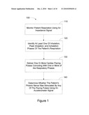 Method and Apparatus for Phrenic Nerve Activation Detection with Respiration Cross-Checking diagram and image