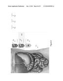 Systems and Methods For Editing A Model Of A Physical System For A Simulation diagram and image