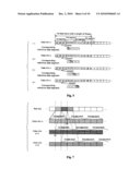 Segmented and Overlapped skew tracking method for serdes frame interface Level 5 diagram and image