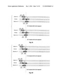 Segmented and Overlapped skew tracking method for serdes frame interface Level 5 diagram and image