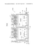 RAINWATER CATCHMENT APPARATUS AND PLANT CULTIVATING SYSTEM HAVING RAINWATER CATCHMENT APPARATUS diagram and image