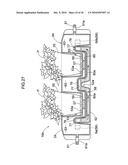 RAINWATER CATCHMENT APPARATUS AND PLANT CULTIVATING SYSTEM HAVING RAINWATER CATCHMENT APPARATUS diagram and image