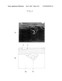 WIG AND ITS MANUFACTURING METHOD diagram and image