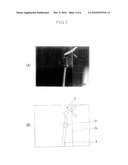 WIG AND ITS MANUFACTURING METHOD diagram and image