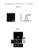 METHOD OF PREPARING ARTIFICIAL LIPID MEMBRANES OVER MICROAPERTURES OF SUBSTRATE AND SUBSTRATE FOR HOLDING ARTIFICIAL LIPID MEMBRANES diagram and image