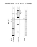 MOBILE COMMUNICATION DEVICE, BASE STATION DEVICE, RADIO CONTROL METHOD, AND MOBILE COMMUNICATION SYSTEM diagram and image