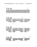 Optical Apparatus, Sealing Substrate, and Method of Manufacturing Optical Apparatus diagram and image