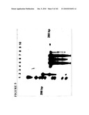 PROSTATE-SPECIFIC MEMBRANE ANTIGEN AND USES THEREOF diagram and image